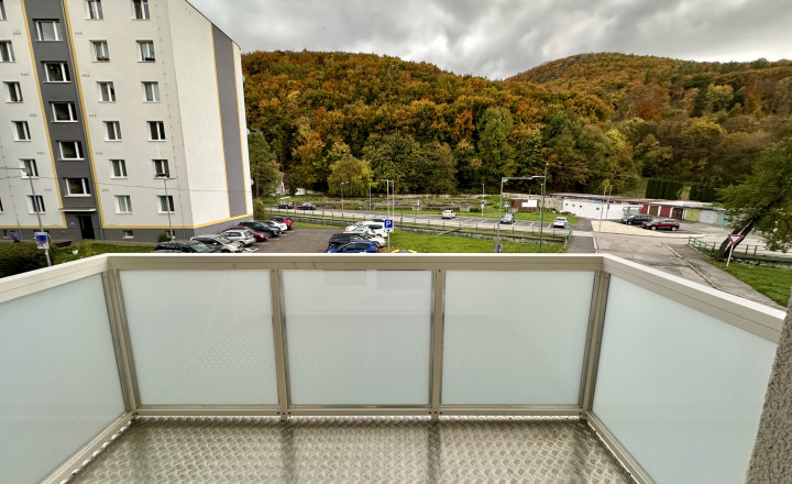 Reality  Pre Vás  - Predaj - 2 izbový byt  SNP  Tr. Teplice - fotografia 8