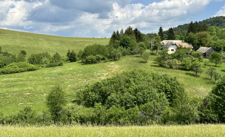 Predaj investičného pozemku  v nádhernej prírode  18.858 m2 - fotografia 7