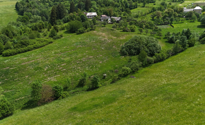 Predaj investičného pozemku  v nádhernej prírode  18.858 m2 - fotografia 2
