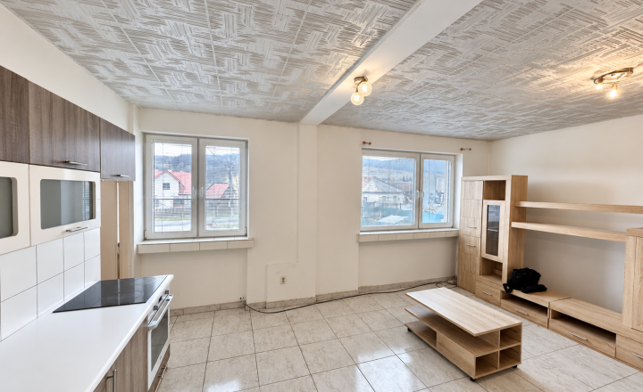 2 izbový byt s pozemkom  260m2  vlastnou záhradkou  a šopkou - fotografia 9